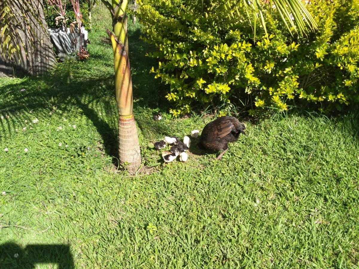 Cabana El Trebol San Agustín Εξωτερικό φωτογραφία